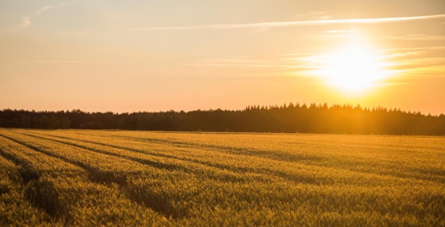 계절 변화에 따른 온도 인식과 일상 속 대응 방법